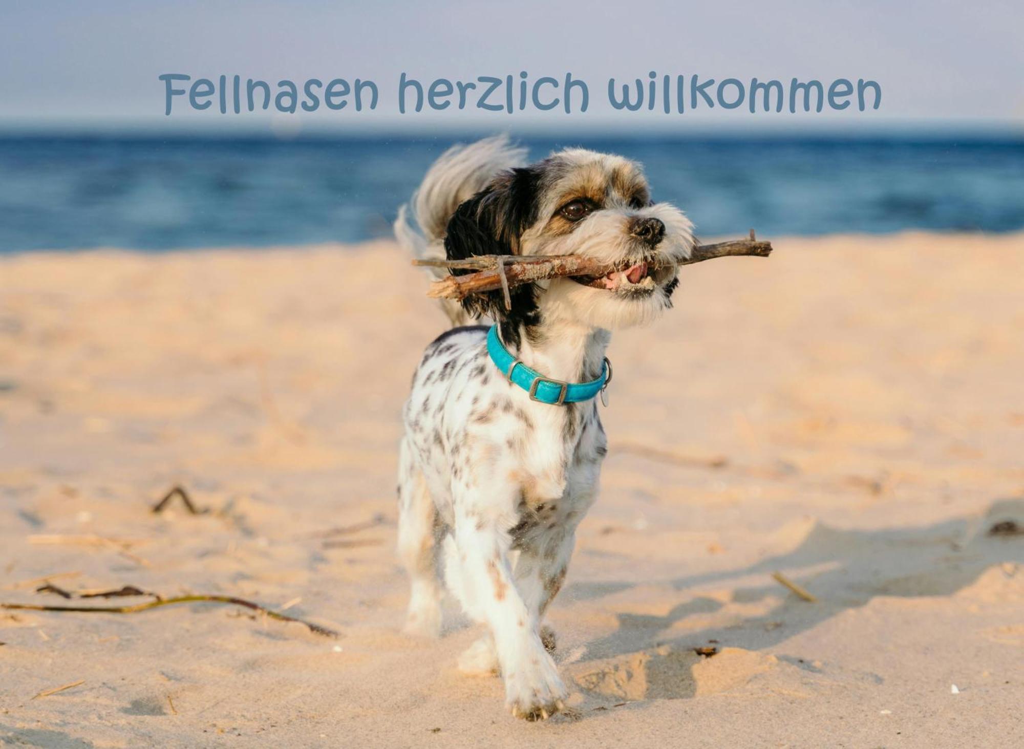 Hafensuite Ipura Vida! - Fuer Leben-Geniesser カッペルン エクステリア 写真